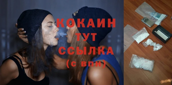 хмурый Липки