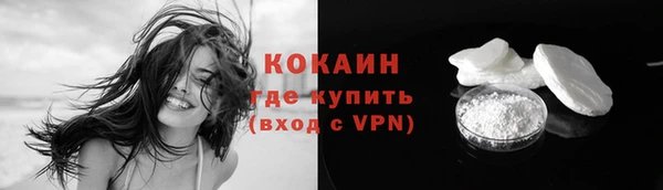 винт Лабытнанги