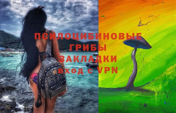 винт Лабытнанги