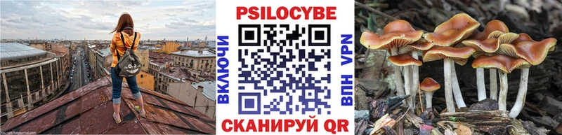 Галлюциногенные грибы Cubensis  Усть-Катав 